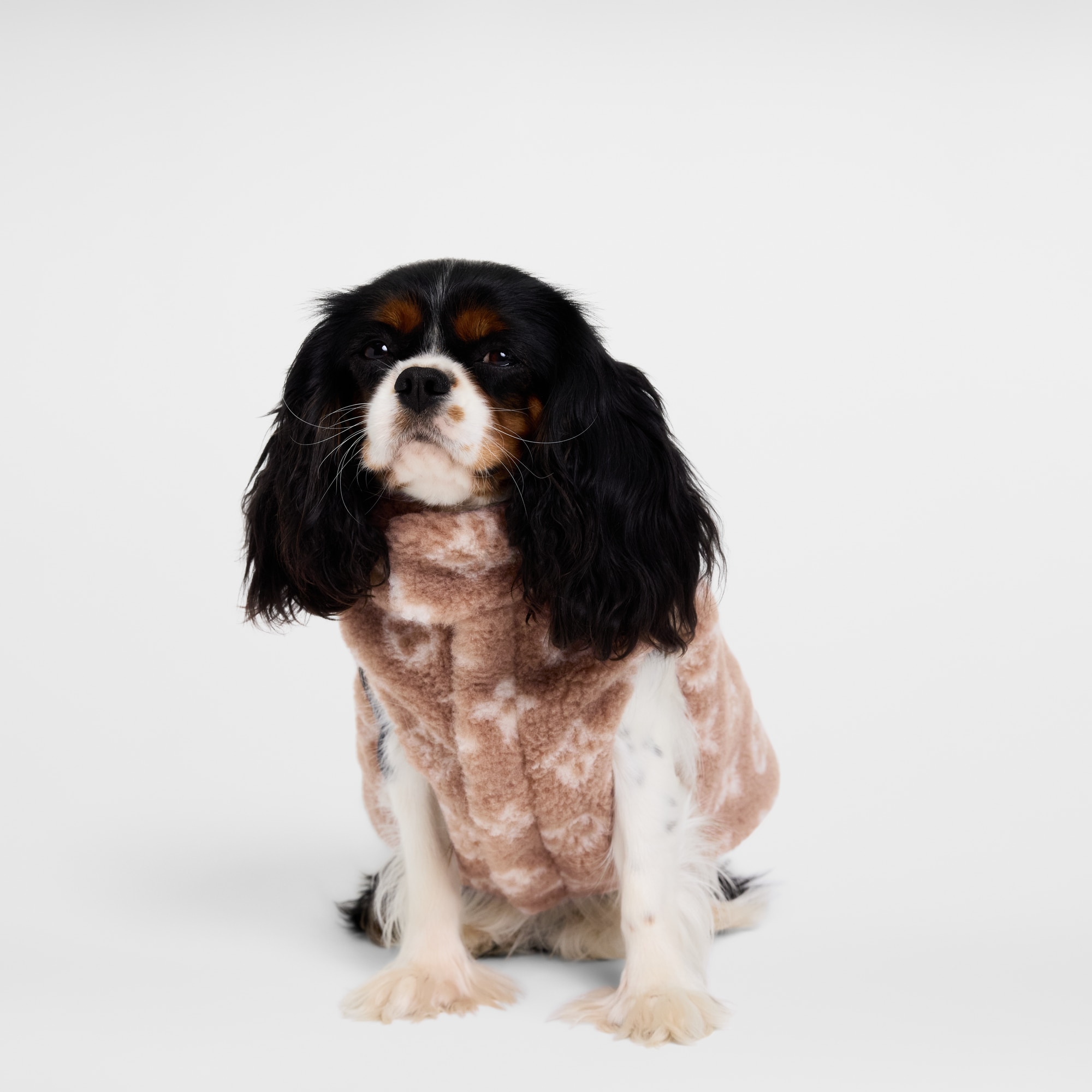 Dog Fleece Jacket PM S00 - Pets Accessories | LOUIS VUITTON